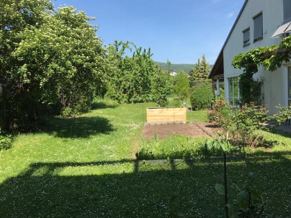 Hochbeet 